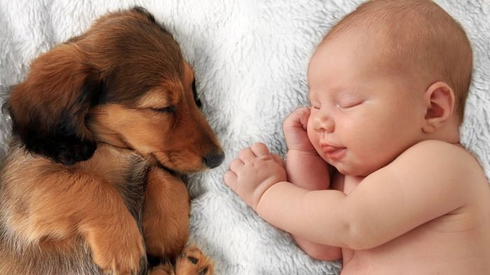Na foto, um bebê e um cachorro deitados em um lençol branco e dormindo