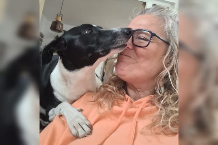 Cachorra descobre câncer de mama em tutora pelo cheiro Mulher afirma que sua cadela foi a primeira a encontrar sinais de seu câncer de mama. A cachorra agora é chamada de salva-vidas