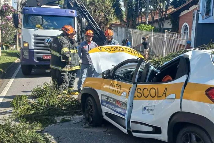 Carro danificado por queda de árvore, durante ciclone, em São José dos Campos
