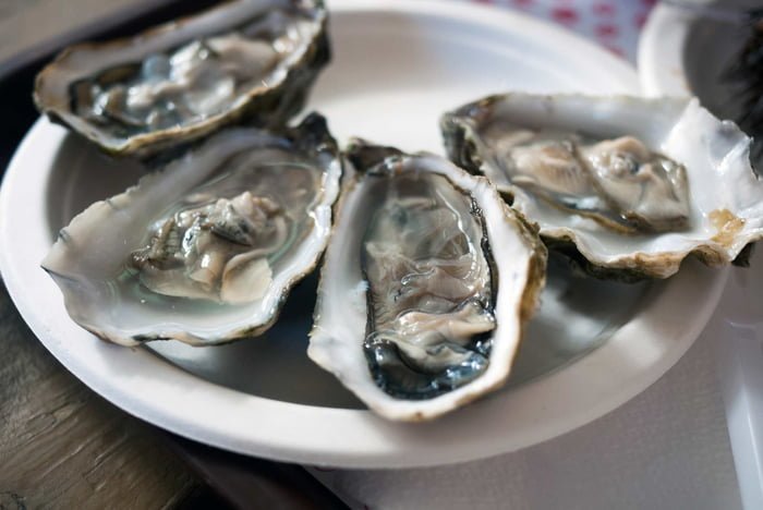 Foto mostra prato de ostras, que podem estar por trás da morte de americano por infecção de bactéria