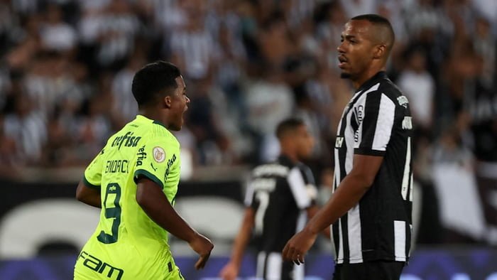 Imagem mostra jogadores de Palmeiras e Botafogo - Metrópoles