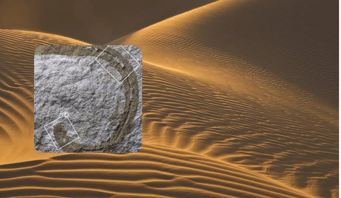 Montagem com foto colorida do fóssil e de dunas de areia - Metrópoles