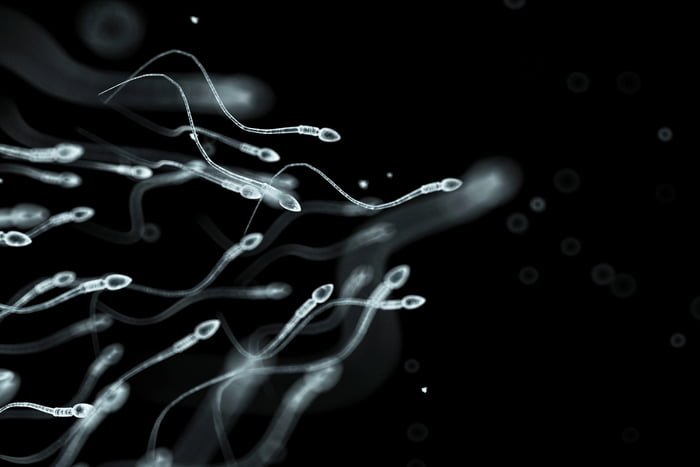 Imagem mostra simulação de como é o esperma humano, espermatozoide, contraceptivo maculino, anticoncepcional masculino