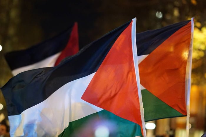 Imagem colorida mostra bandeiras da Palestina - Metrópoles