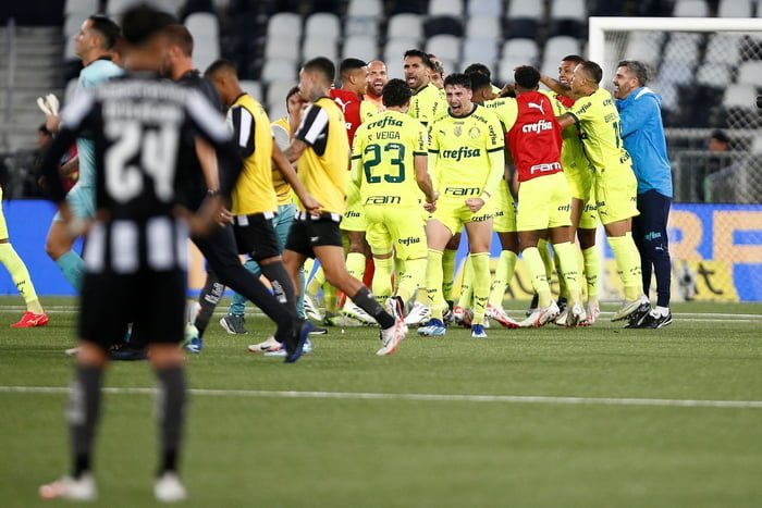 Botafogo e Palmeiras, foto colorida do confronto - Metrópoles