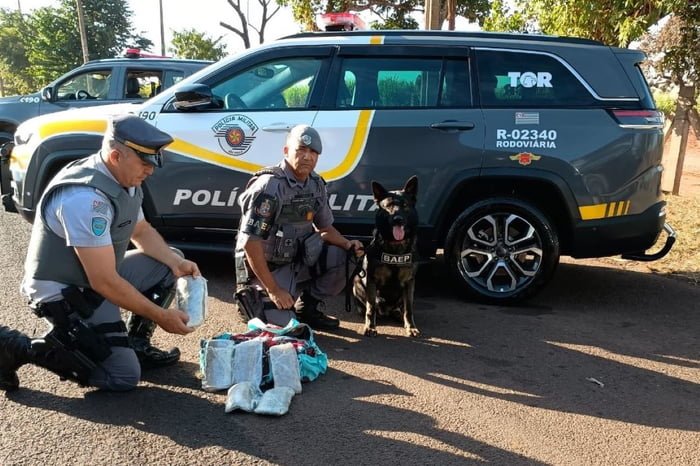 Policiais rodoviários estão agachados em frente a uma viatura, um deles mostra pacotes de drogas e outro, um cão farejador - Metrópoles