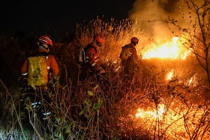 Imagem colorida mostra combate às chamas que atingem o mato grosso do sul - Metrópoles