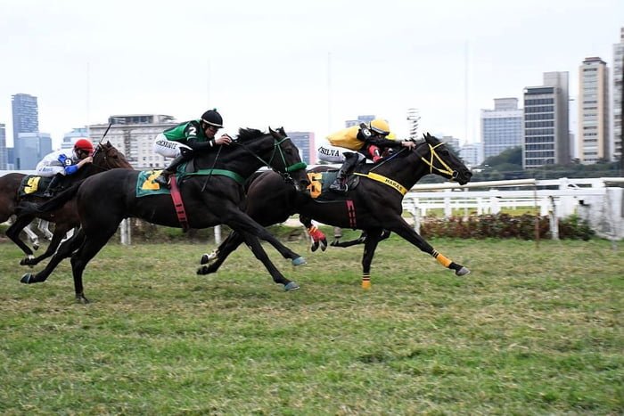 Imagem colorida mostra cavalos correndo no Jockey Club de São Paulo - Metrópoles